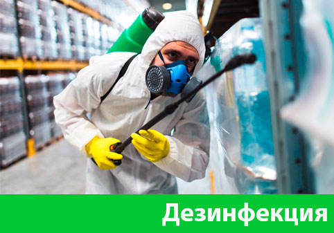 Дезинфекция в городе Серов