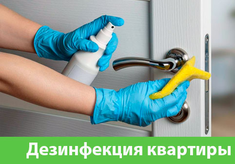 Дезинфекция квартиры в городе Серов