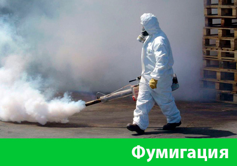 Фумигация в городе Серов