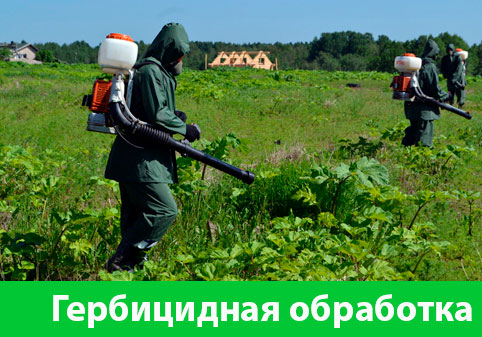 Гербицидная обработка в городе Серов