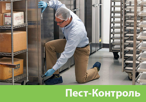 Пэст-Контроль в городе Серов