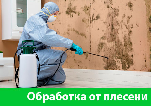 Обработка от плесени в городе Серов