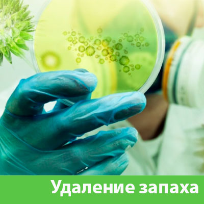 Удаление запахов в Серове
