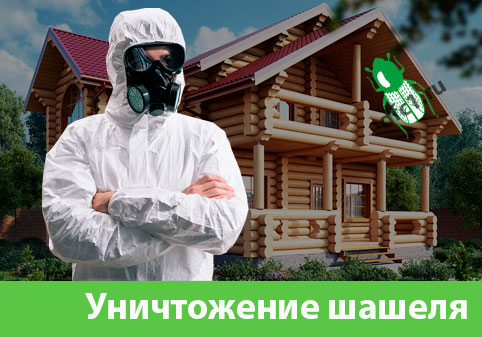Уничтожение шашеля и личинок в Серове