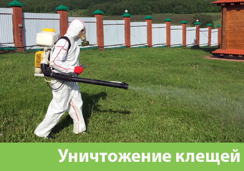 Уничтожение клещей в городе Серов