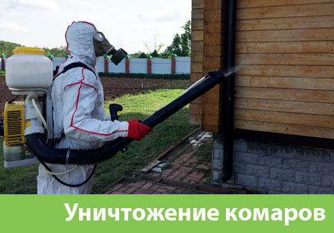 Уничтожение комаров в городе Серов